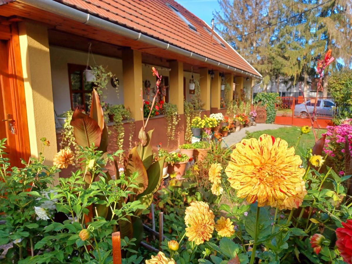 Tulipan Haz Apartment Bodony