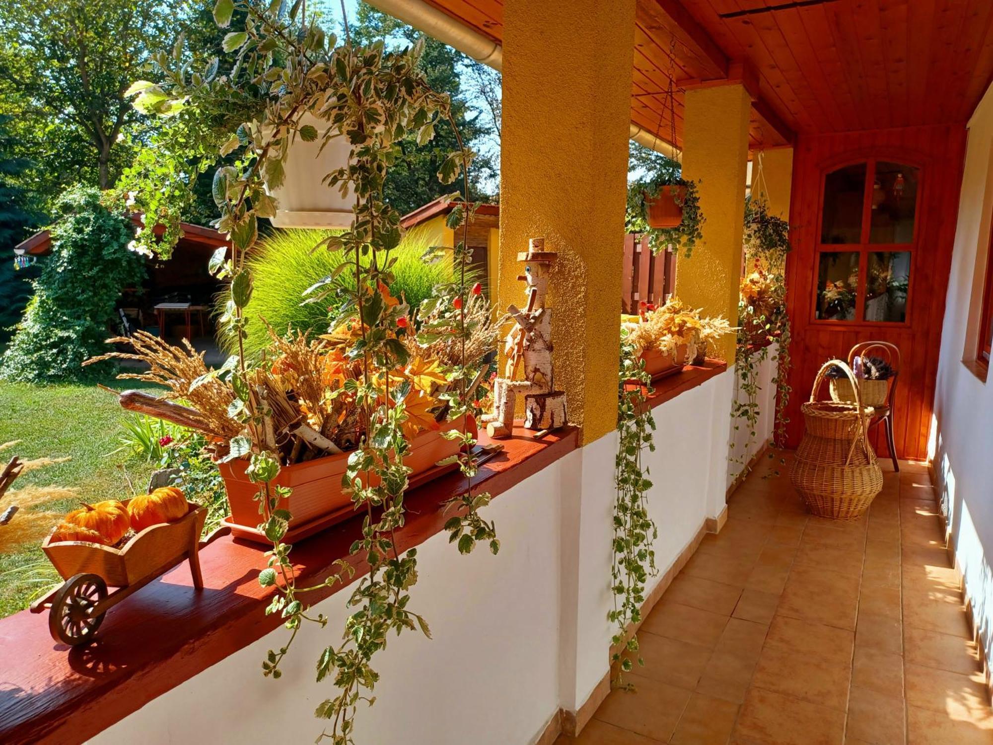 Tulipan Haz Apartment