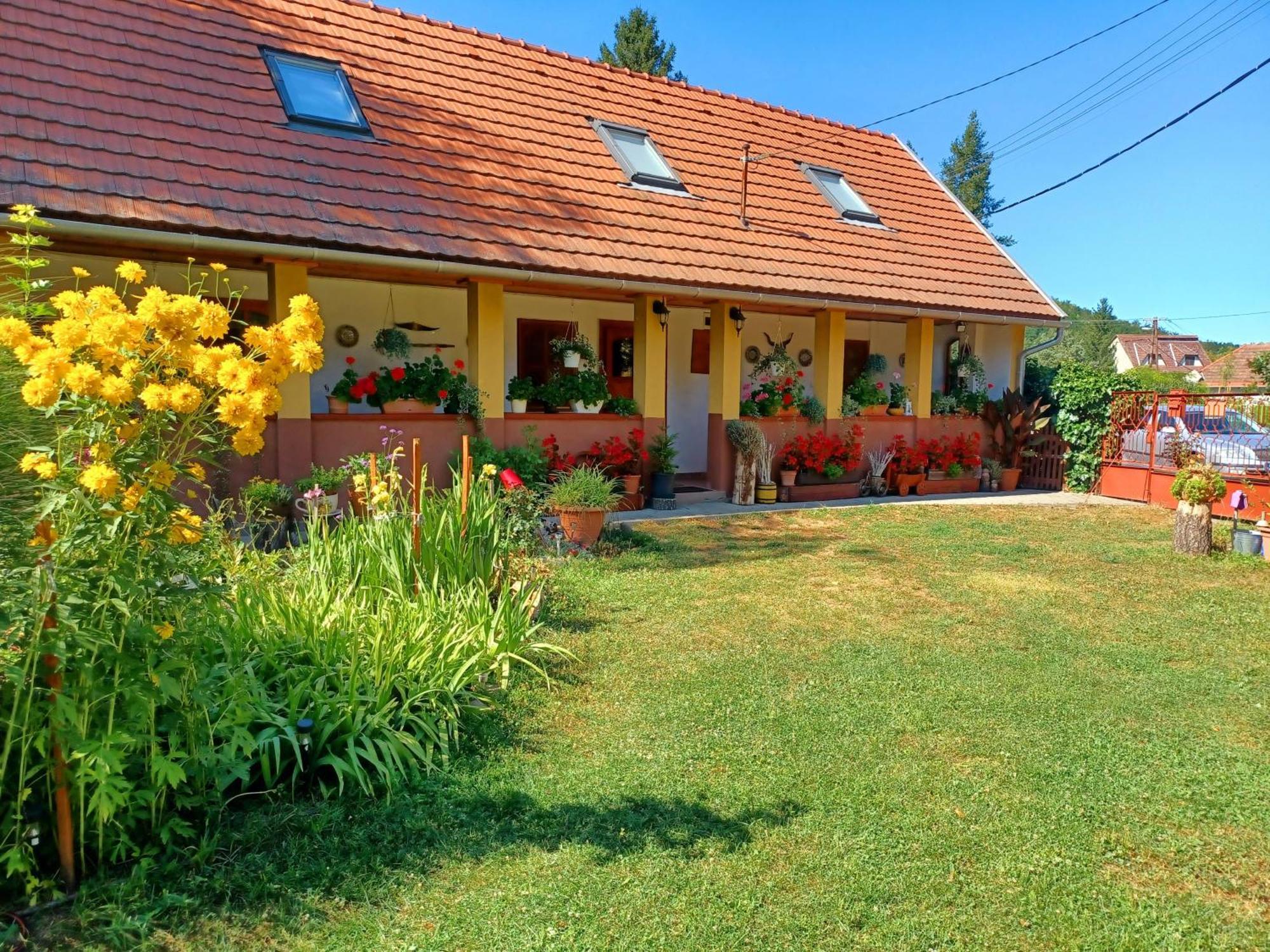 Tulipan Haz Apartment Bodony